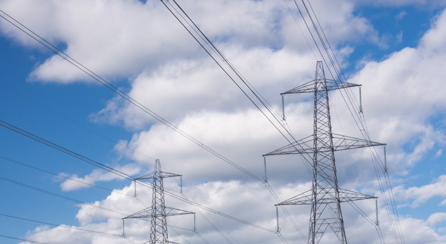NZ lines companies power management